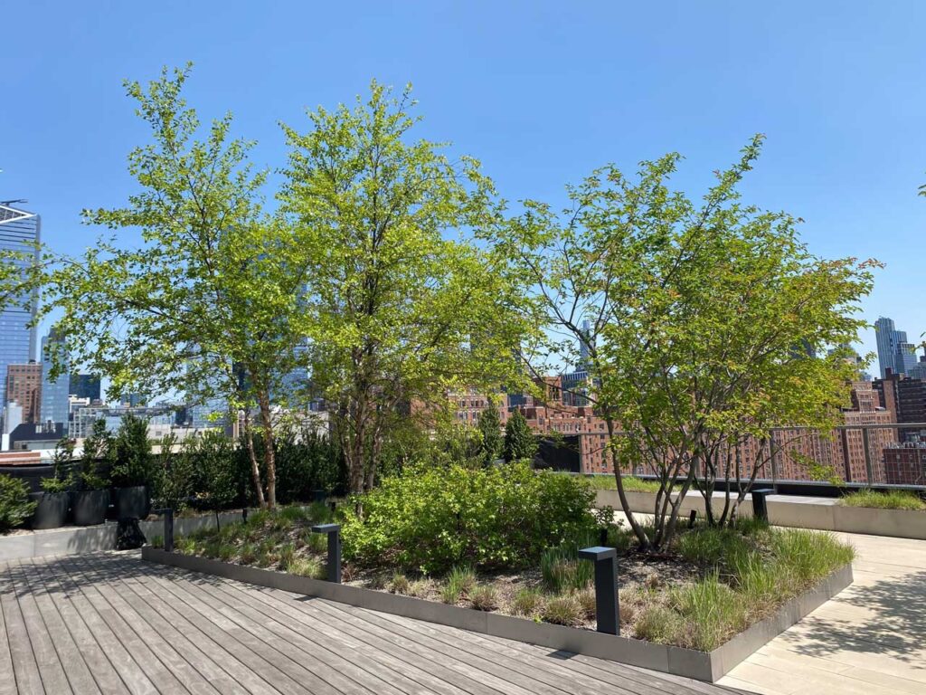 The roof deck at 512 W. 22 with 
