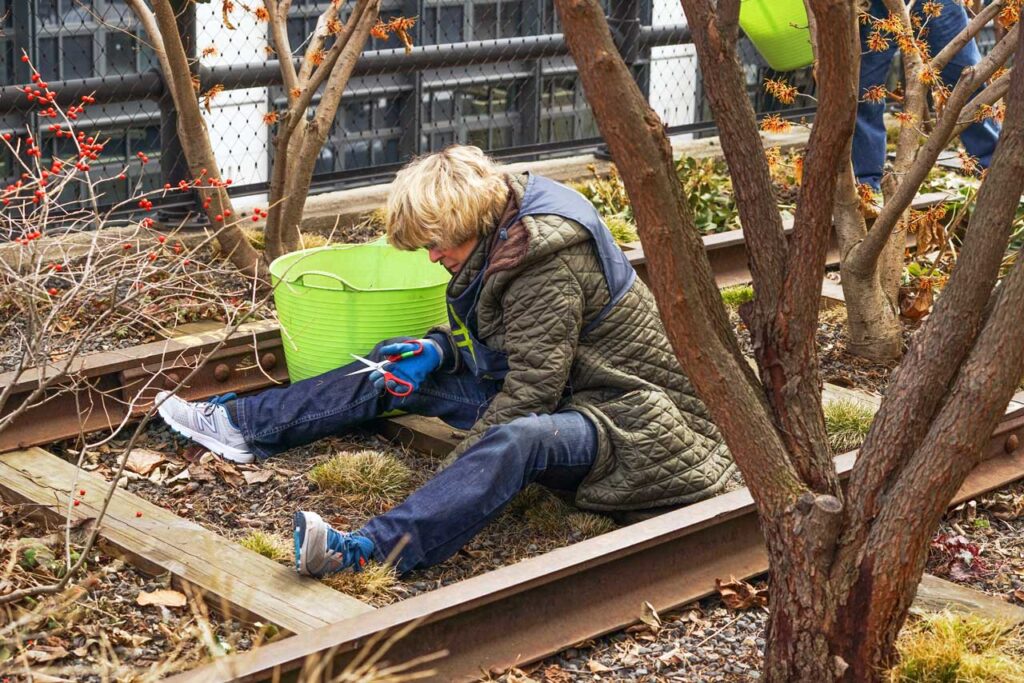 Cutback volunteer on the High Line, March 2015. Photo: Annik LaFarge, author of On the High Line