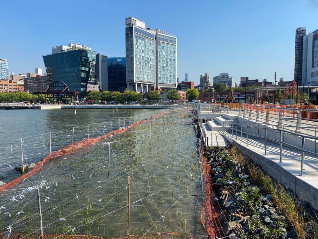 The newly installed salt marsh on the northern edge of Gansevoort Peninsula Park, October 2023. Photo: Annik LaFarge, author of On the High Line