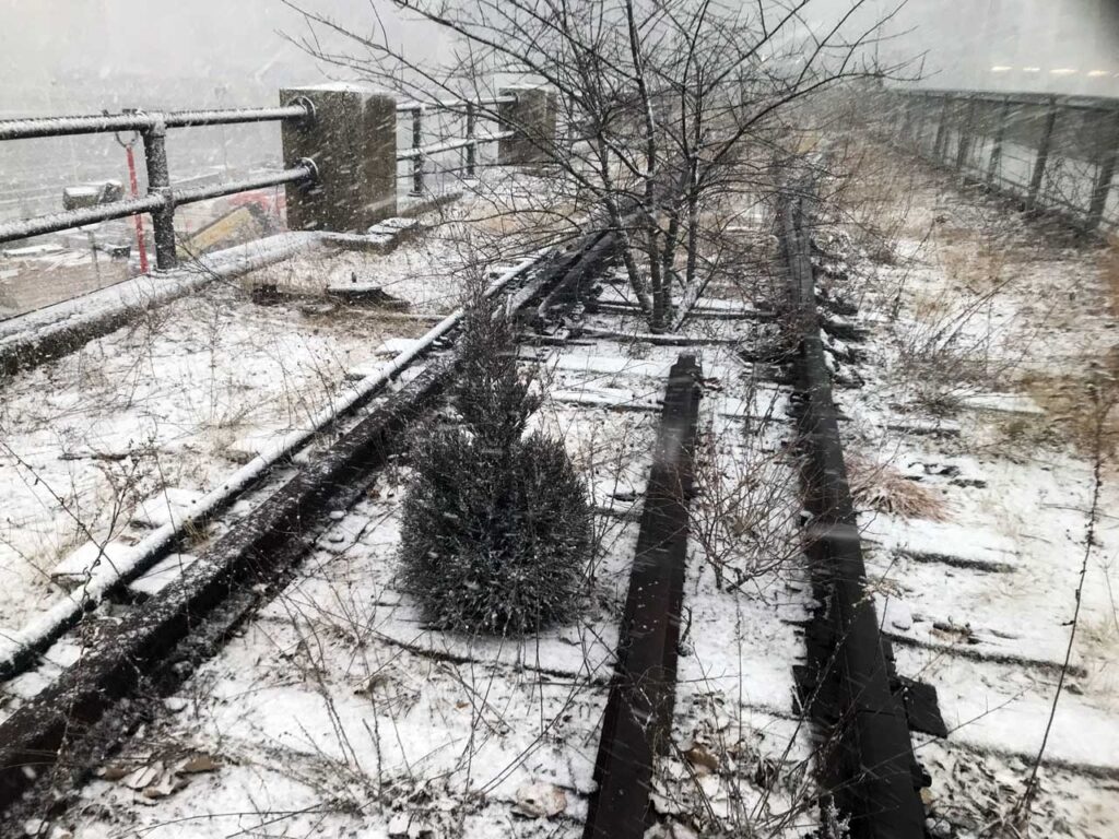Evergreen volunteer in the Western Rail Yards on the High Line, January 2019. Photo: Annik LaFarge, author of On the High Line
