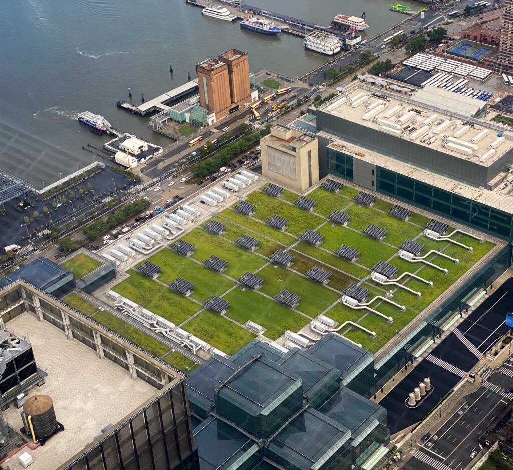 Aerial shot of the Javits green roof, August 2023. Photo: Annik LaFarge, author of On the High Line