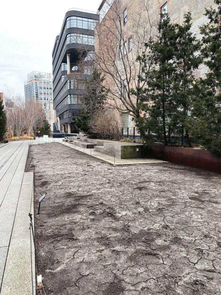 The transitional lawn on the High Line, March 2022. Photo: Annik LaFarge, author of On the High Line