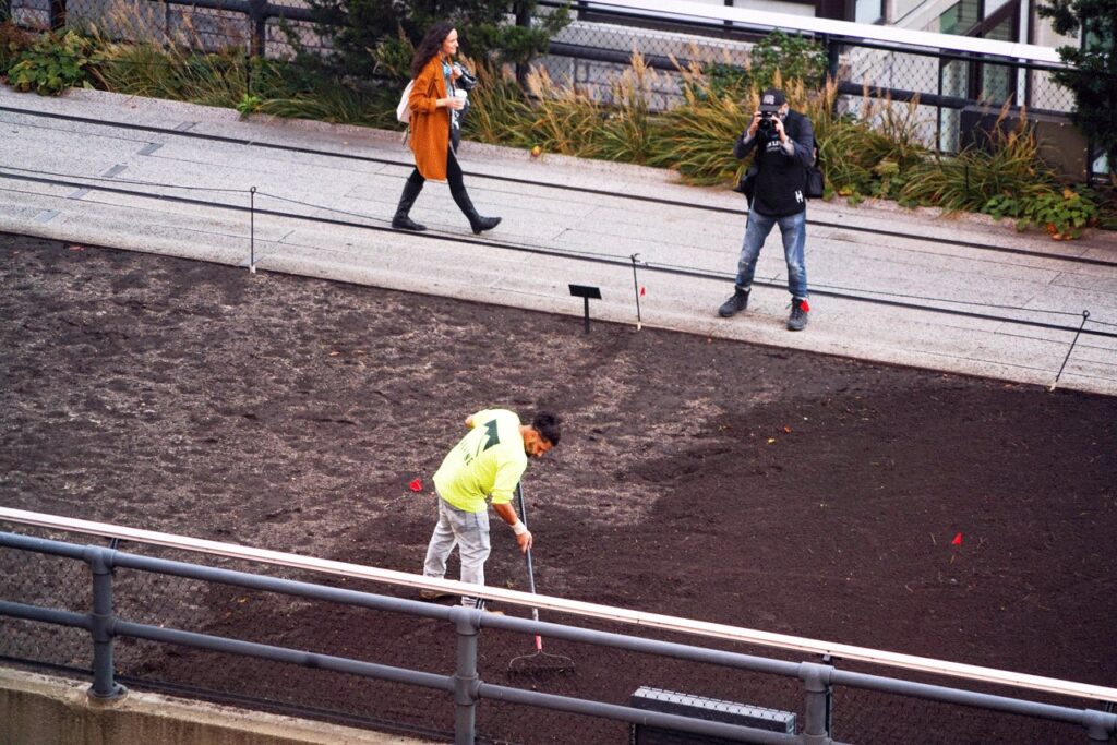 A worker on the High Line restoring the lawn, November 2021. Photo: Annik LaFarge, author of On the High Line