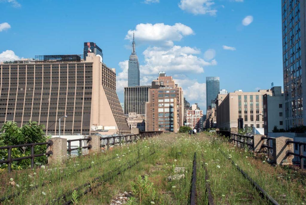 Tenth Avenue Spur on the abandoned railroad, July 2011. Photo: Annik LaFarge, author of On the High Line