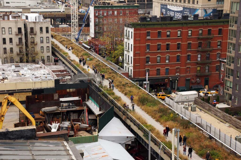 Rooftop view, looking north, of the Wildflower Field in October 2012, with former tenement houses on either side of the High Line. Photo: Annik LaFarge, author of On the High Line