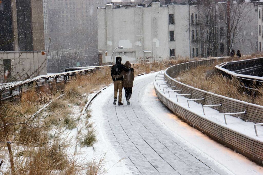 The Wildflower Field, December 2013. Photo: Annik LaFarge, author of On the High Line