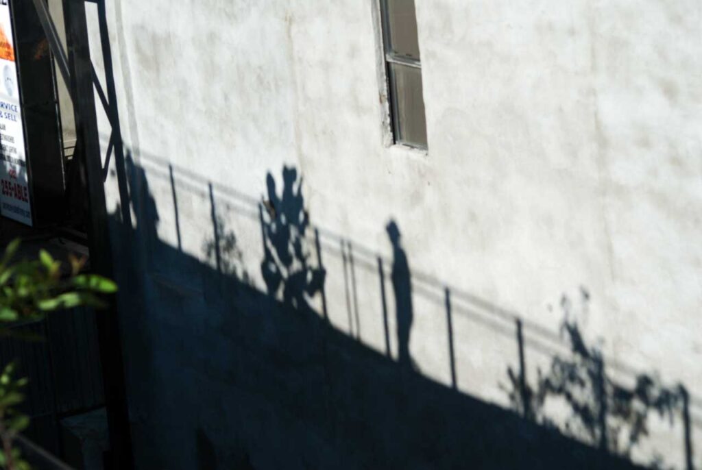 Magnolias casting shadows on the High Line's Flyover, August 2011. Photo: Annik LaFarge, author of On the High Line