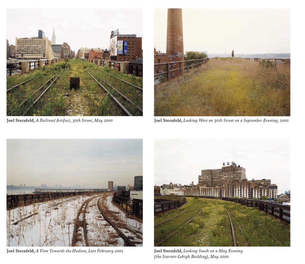 Joel Sternfeld, collage of images 1